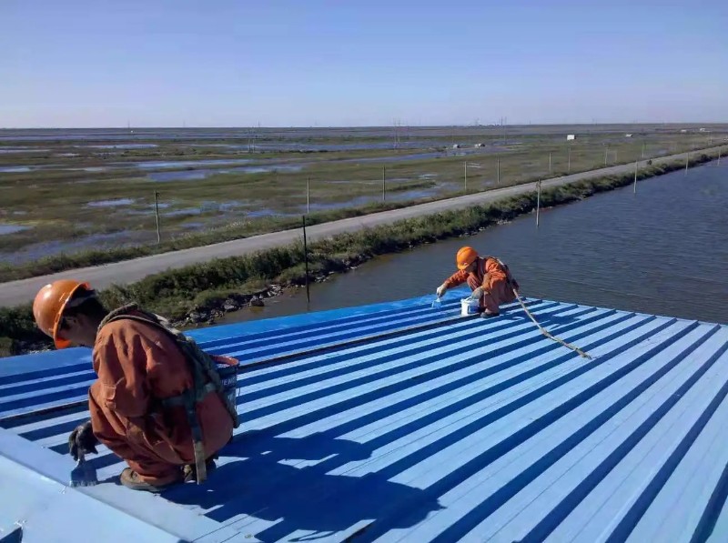 宁阳钢结构屋面漏水原因